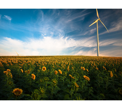 Pourquoi passer aux énergies renouvelables ? ?⚡