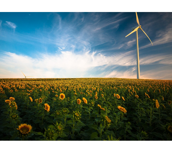 Pourquoi passer aux énergies renouvelables ? ?⚡